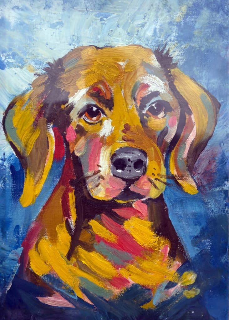 buddy the labrador updated
